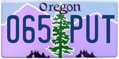 OR license plate 065PUT