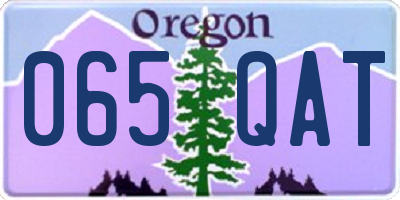 OR license plate 065QAT