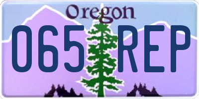 OR license plate 065REP