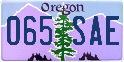 OR license plate 065SAE