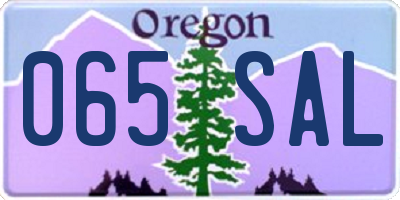 OR license plate 065SAL