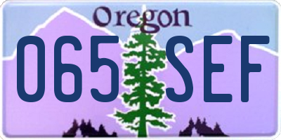 OR license plate 065SEF