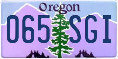 OR license plate 065SGI