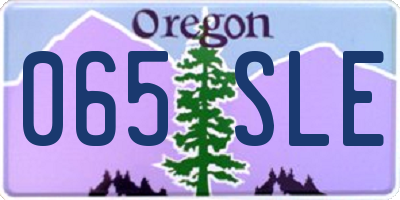 OR license plate 065SLE