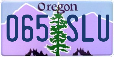 OR license plate 065SLU