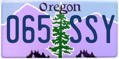 OR license plate 065SSY