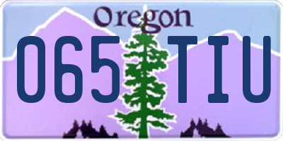 OR license plate 065TIU