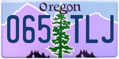 OR license plate 065TLJ