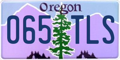 OR license plate 065TLS