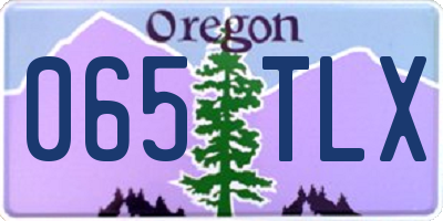 OR license plate 065TLX