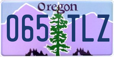 OR license plate 065TLZ