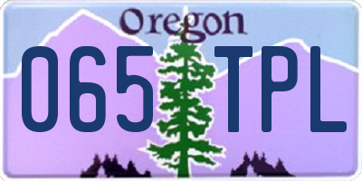 OR license plate 065TPL