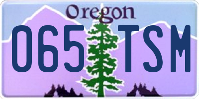 OR license plate 065TSM