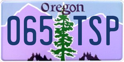 OR license plate 065TSP
