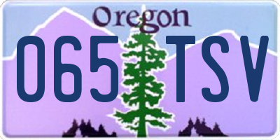 OR license plate 065TSV