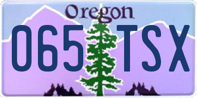 OR license plate 065TSX