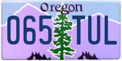 OR license plate 065TUL