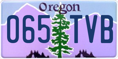 OR license plate 065TVB