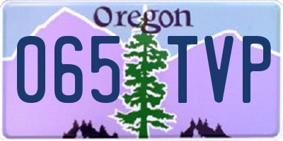 OR license plate 065TVP