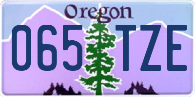 OR license plate 065TZE