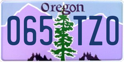 OR license plate 065TZO