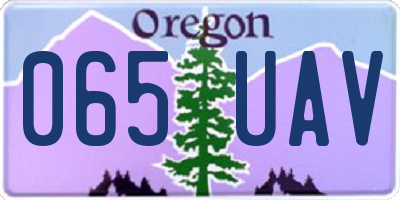 OR license plate 065UAV