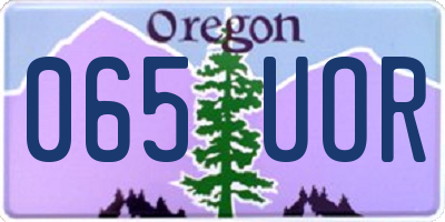 OR license plate 065UOR