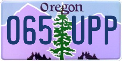OR license plate 065UPP