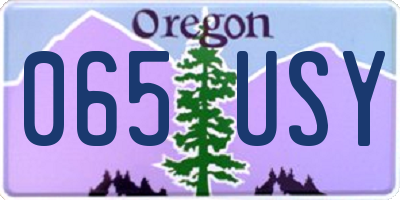 OR license plate 065USY