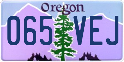 OR license plate 065VEJ