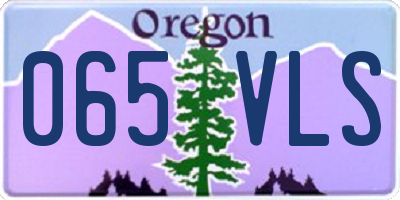 OR license plate 065VLS