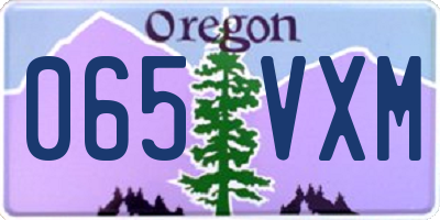 OR license plate 065VXM