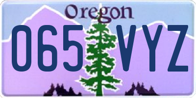 OR license plate 065VYZ