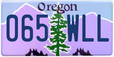 OR license plate 065WLL