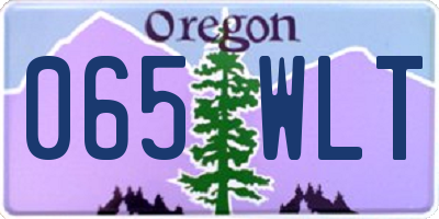 OR license plate 065WLT