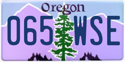 OR license plate 065WSE