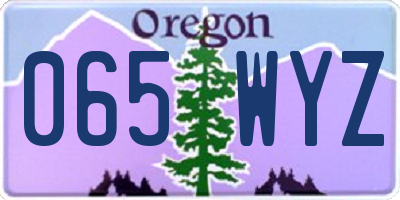 OR license plate 065WYZ