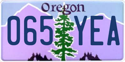 OR license plate 065YEA