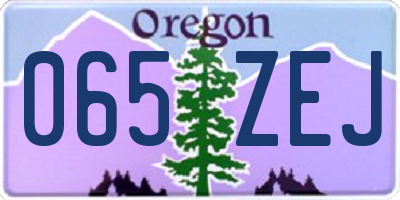 OR license plate 065ZEJ