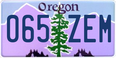 OR license plate 065ZEM