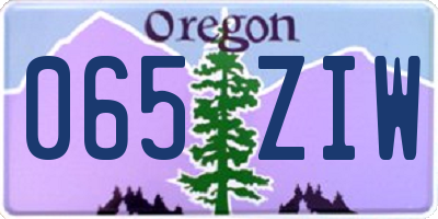 OR license plate 065ZIW