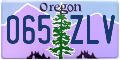OR license plate 065ZLV