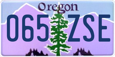 OR license plate 065ZSE