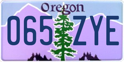 OR license plate 065ZYE