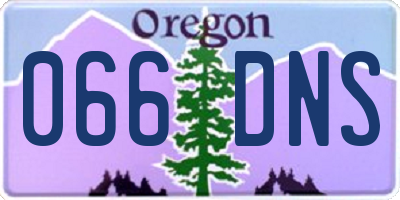 OR license plate 066DNS