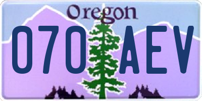 OR license plate 070AEV