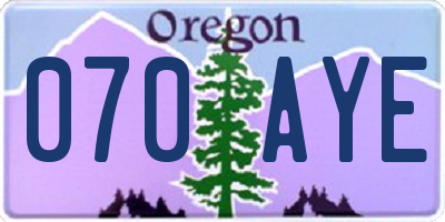 OR license plate 070AYE