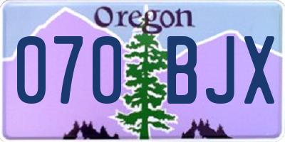 OR license plate 070BJX