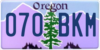 OR license plate 070BKM