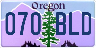 OR license plate 070BLD